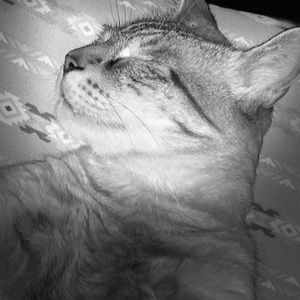 Meet your Posher, Ricardo